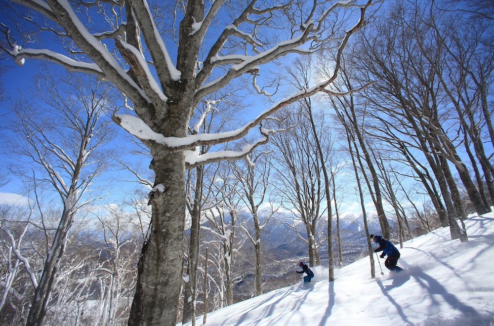 Yakehashiri Cabin Village