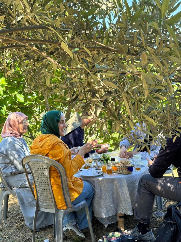 Dar diafa Jennane