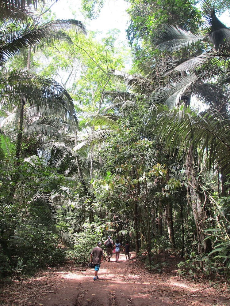 Amazon Lodge Tambopata