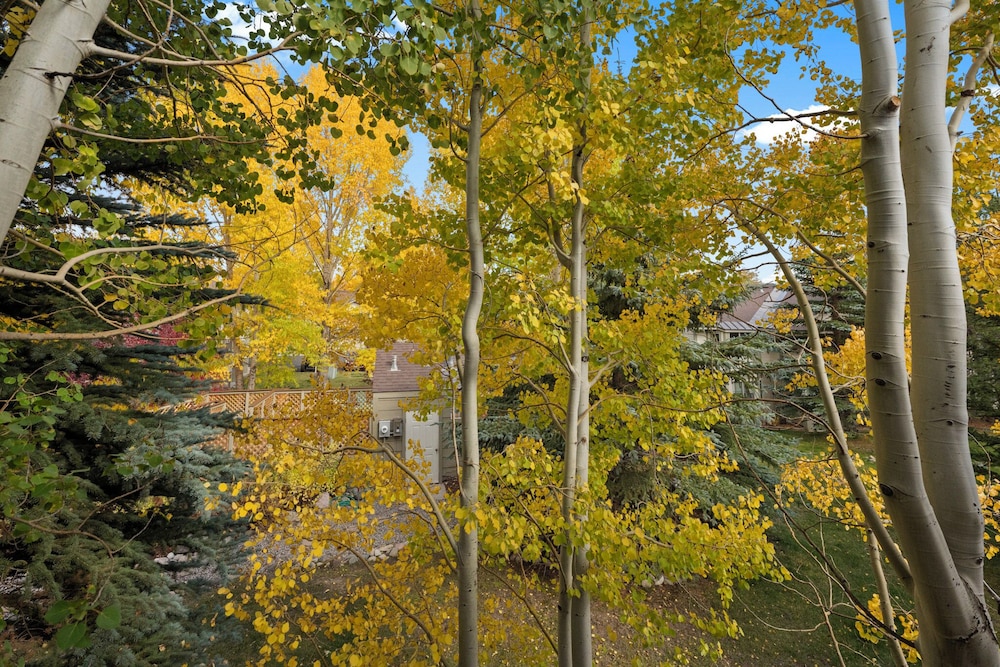 Prospect Point Townhomes #202c