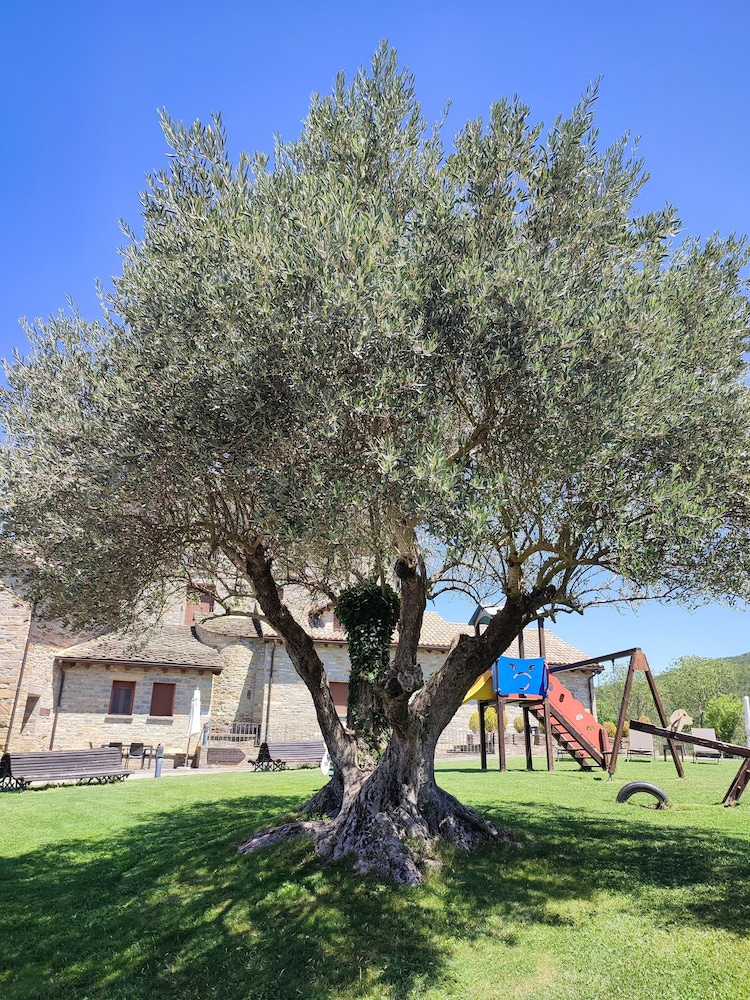 Casas Pirineo Aínsa: Historic Palace & Garden