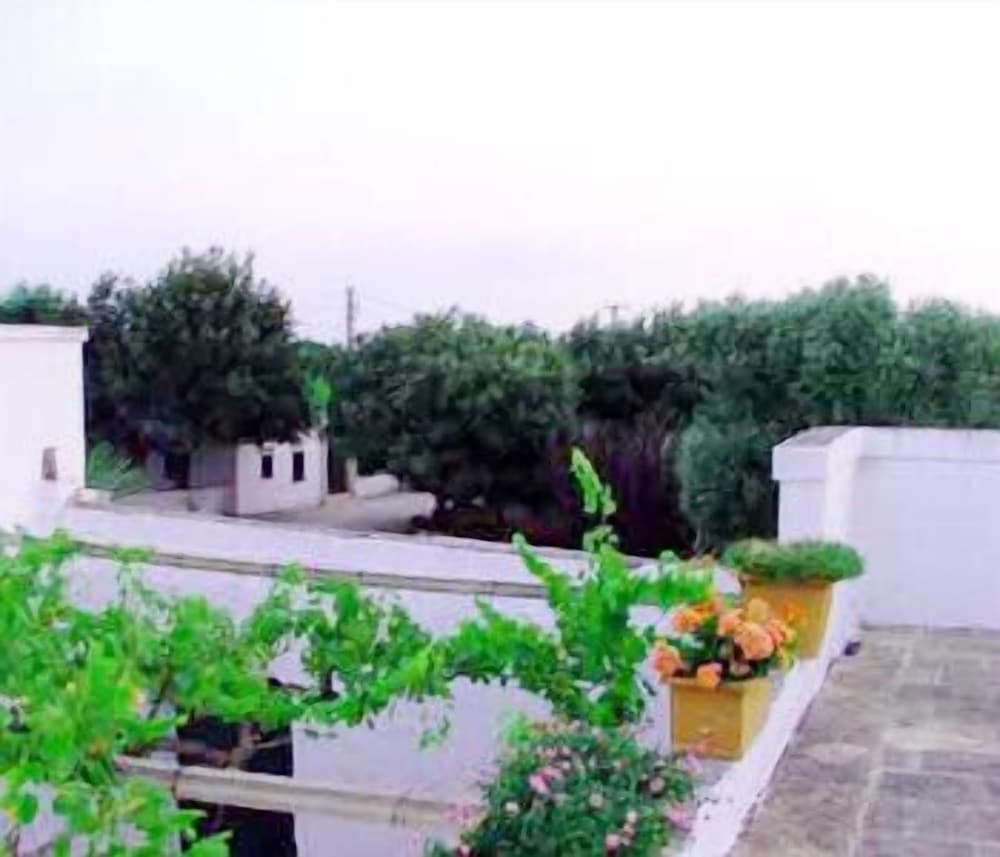 Photo 41