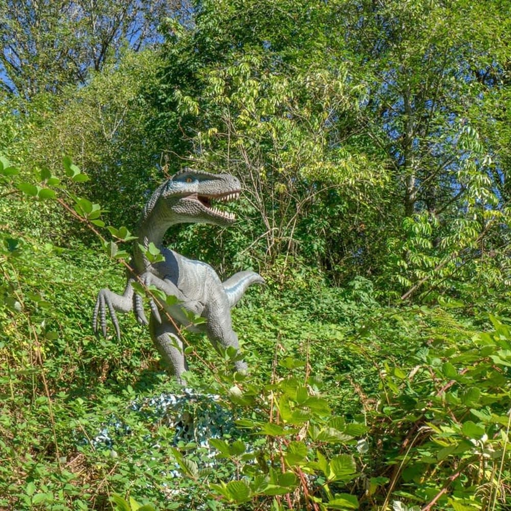 Jurassic Themed Adventure 4BR Home With Hot Tub