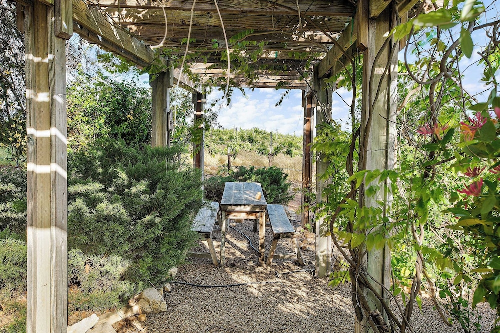 Wellsona Vineyard Retreat + Pool, Hot Tub, Views Main Home + Guest Home