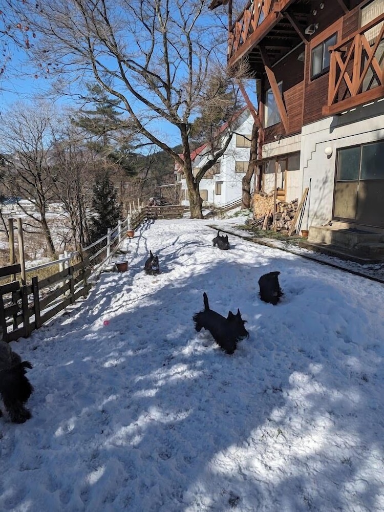 Photo 14