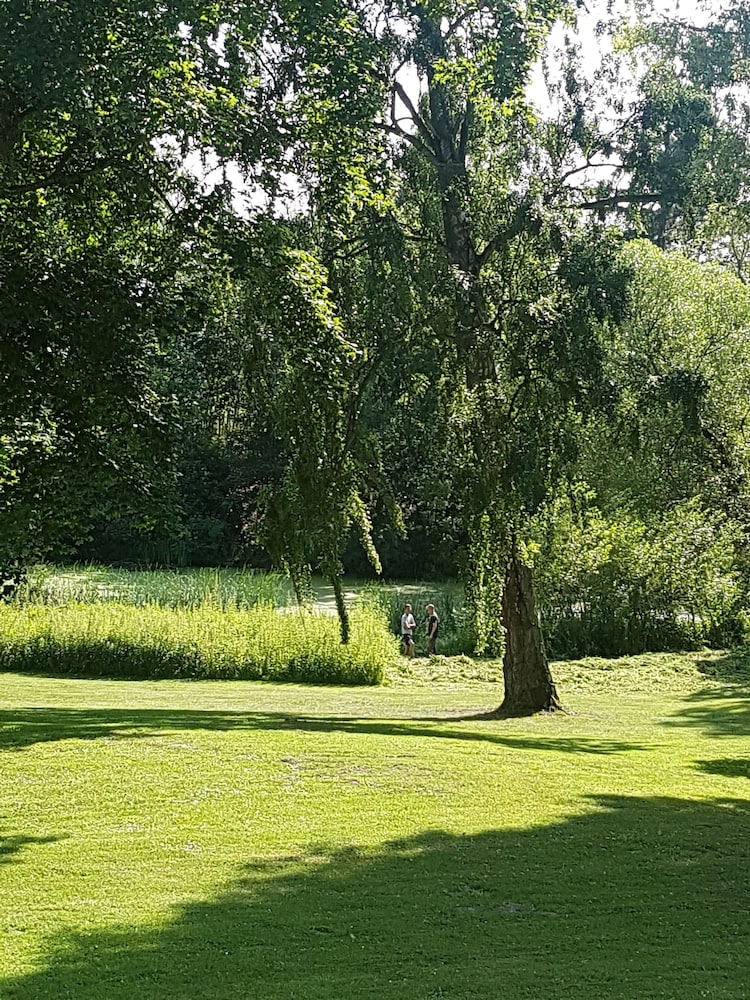 Photo 25