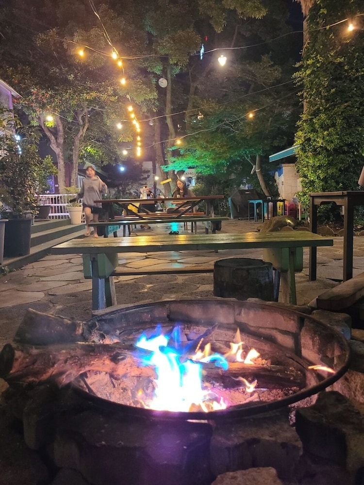 Backpacker's Home 41