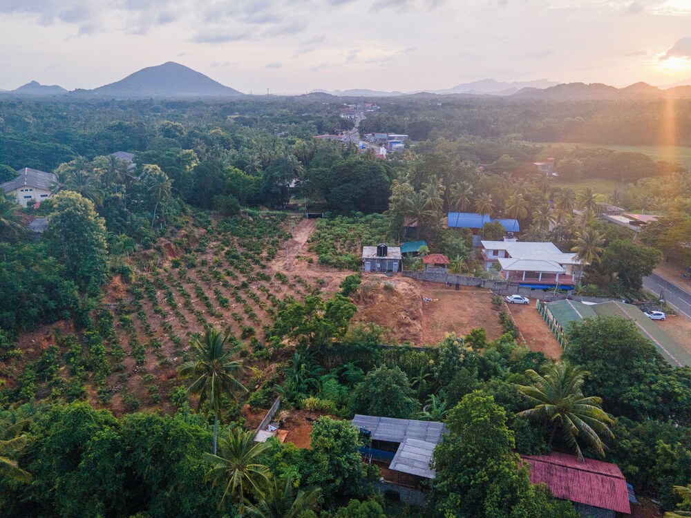 Mango Tree Retreat view 5