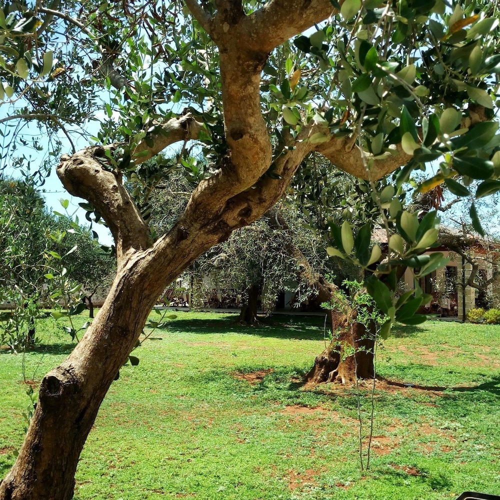 Residence Gli Ulivi