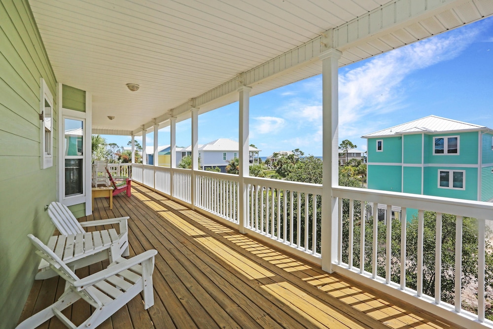 Cape Palms