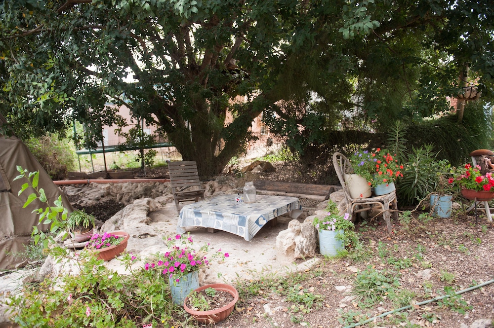 Galilee Bedouin Camplodge