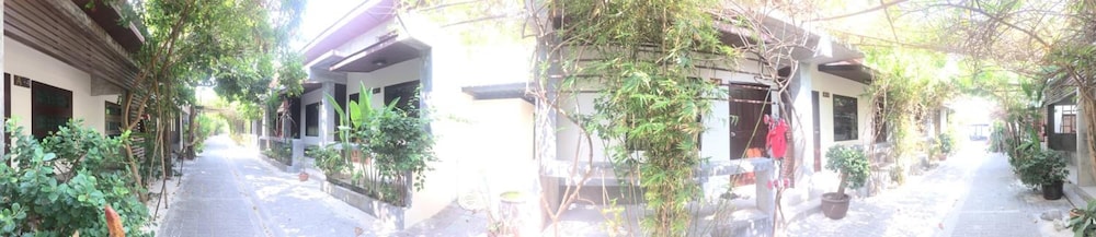 Photo 44