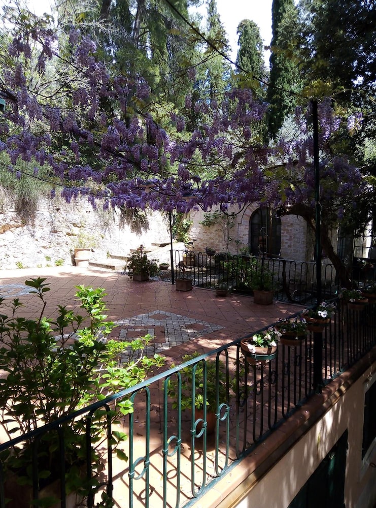 Agriturismo L'Ulivo