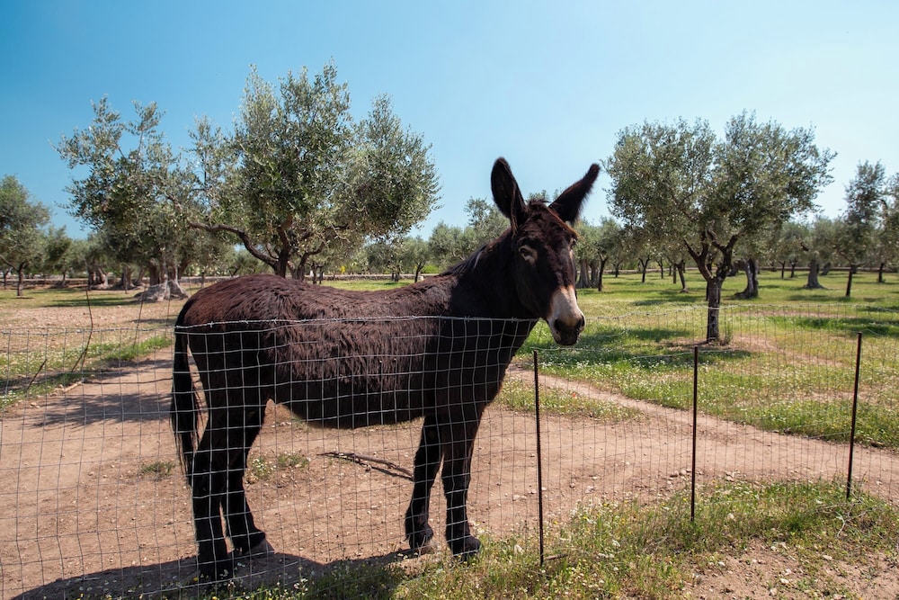 3888 Villetta tra Mari e Monti by Barbarhouse view 3