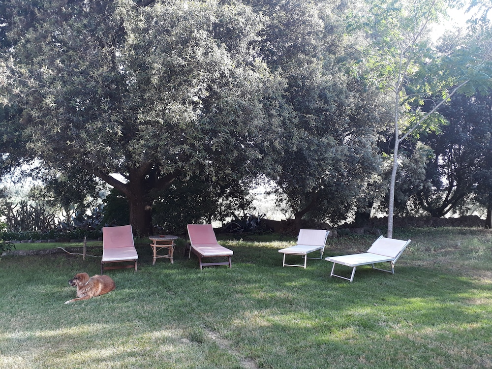 Tenuta Argiano