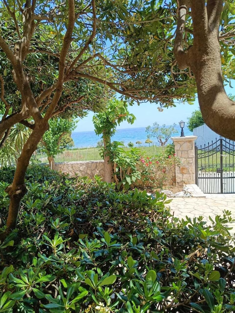 Calypso Studios