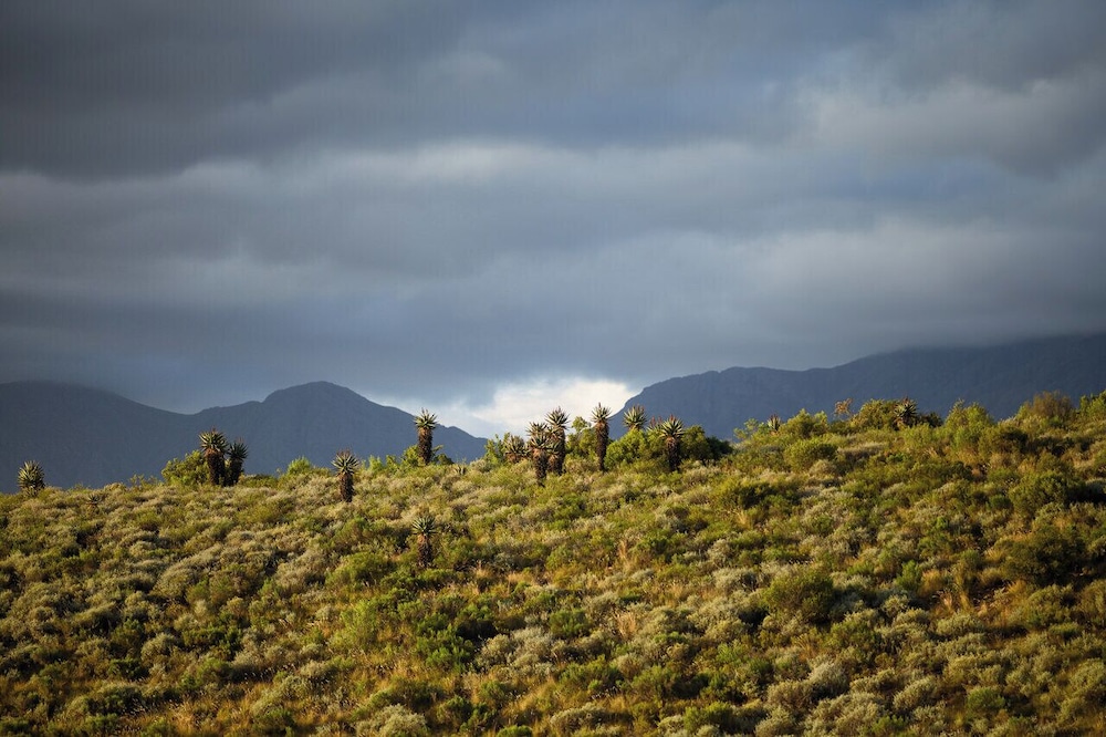 Le Petit Karoo