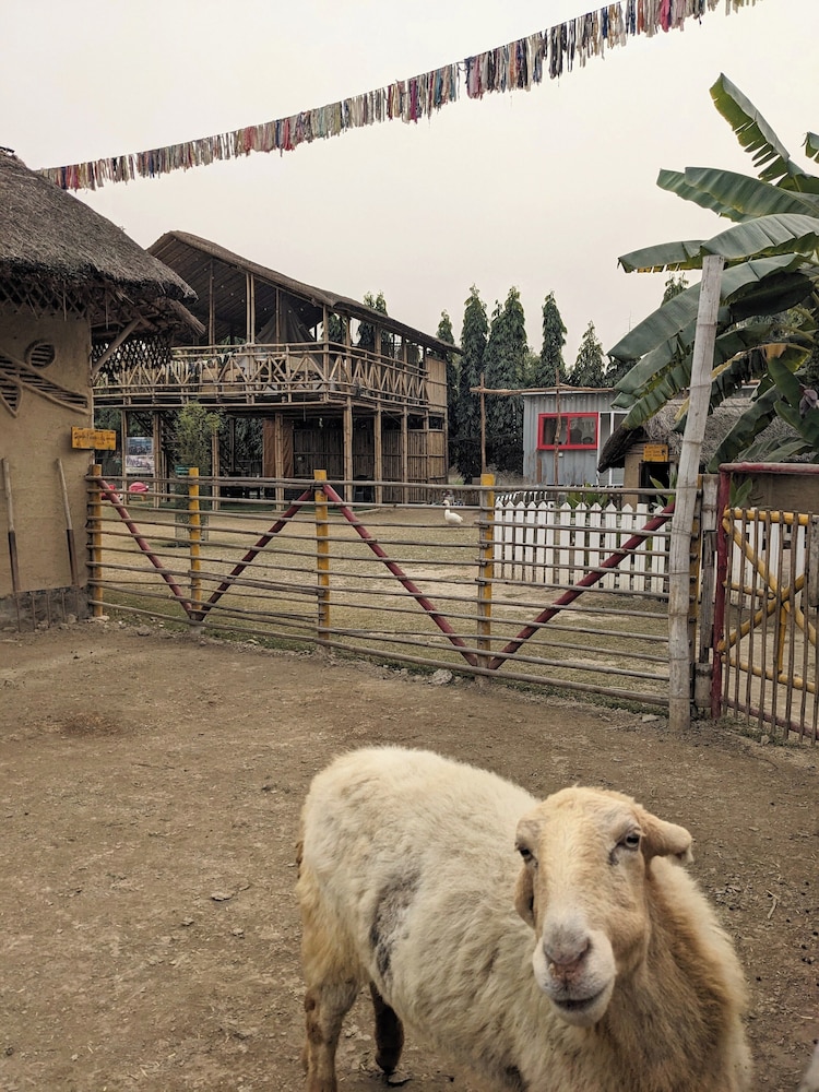 Tuk Tuk Gilhari Noida