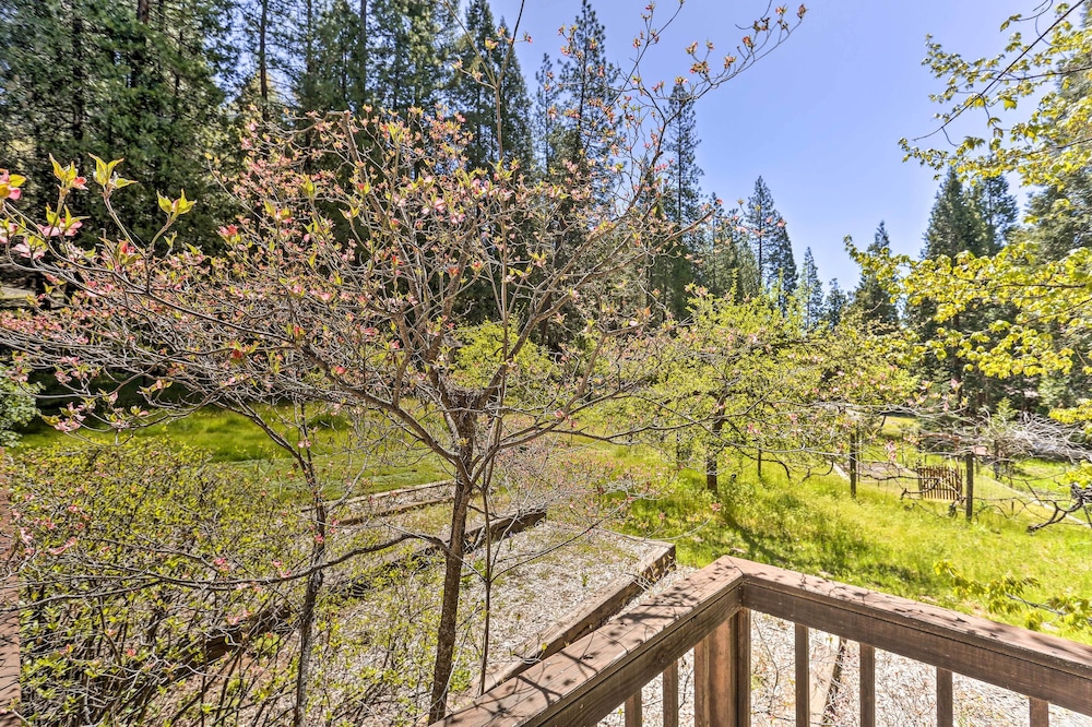 Vibrant Weaverville Escape w/ Deck & Creek!