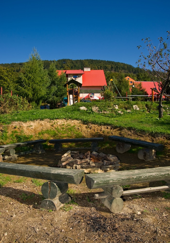 Kosajonka