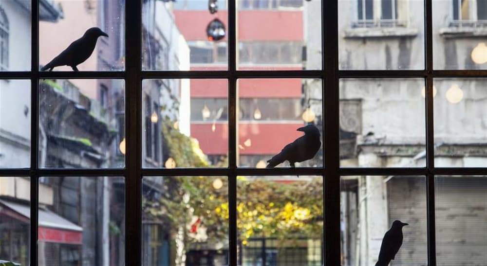 SuB Karaköy - Özel Sınıf - Image 70