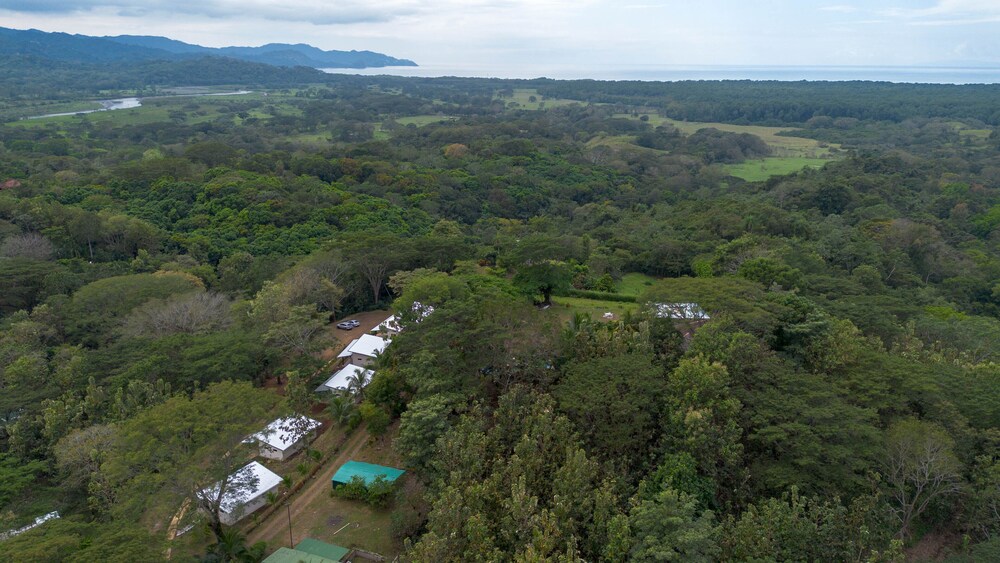 Tarcoles Birding Lodge