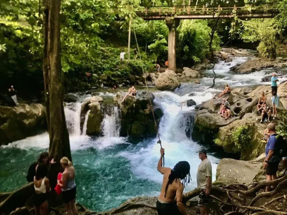 Arenal Volcano - Costa Rica Vacations - Arenal Sloth Hostel - Property Image 17