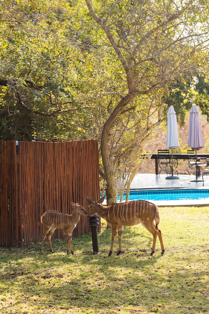 Waterbuck Game Lodge