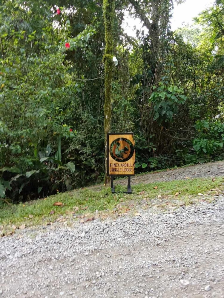 FINCA ARDILLA