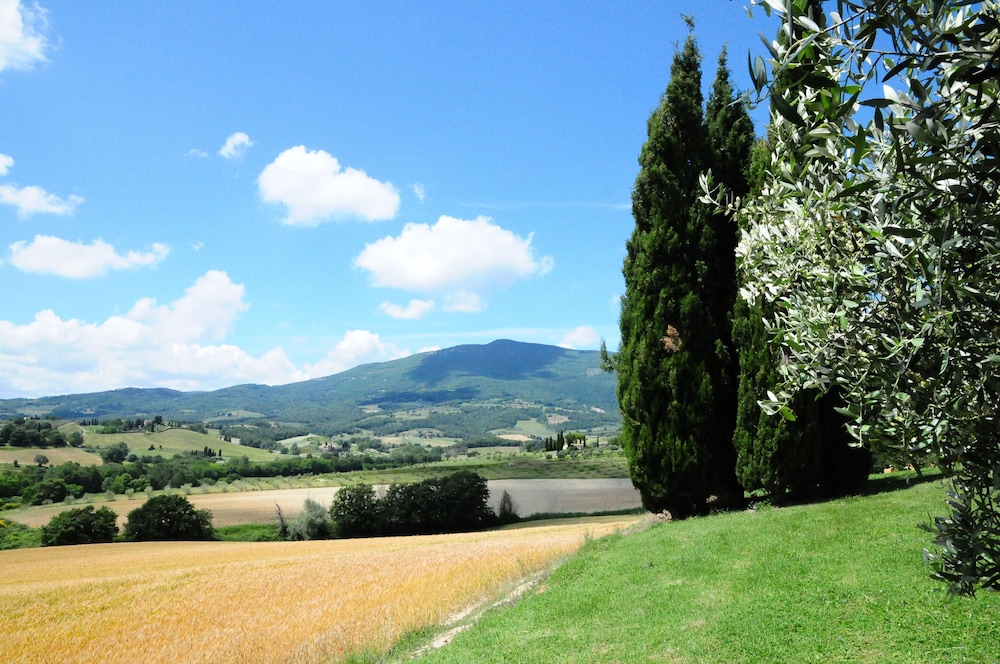 Photo 69