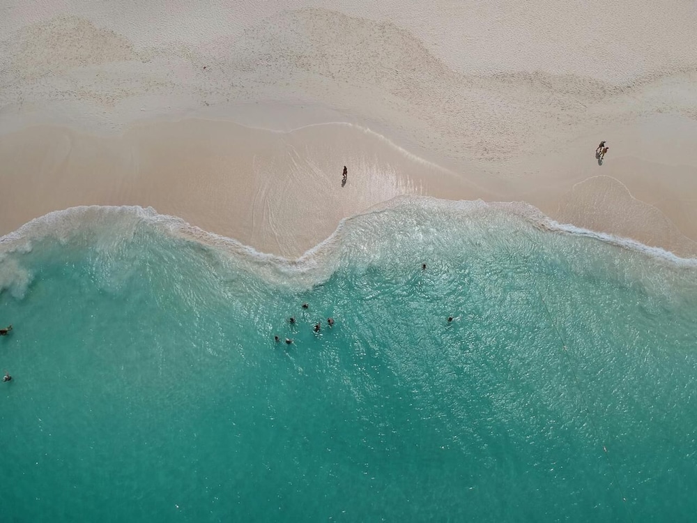 Eagle Stays Aruba