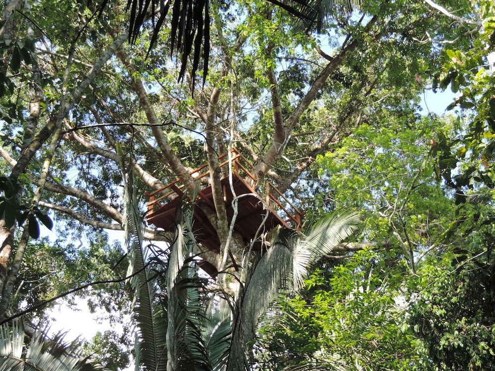 Hacienda Herrera Tambopata