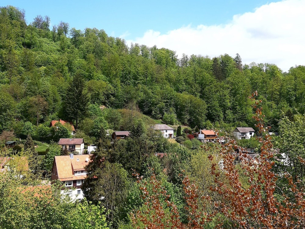 Photo 48