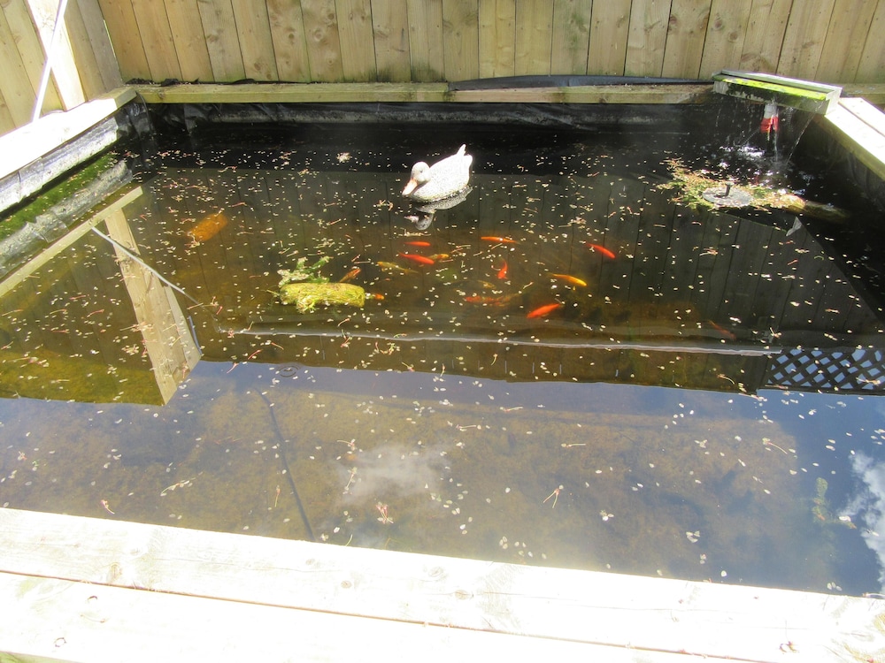 Photo 24