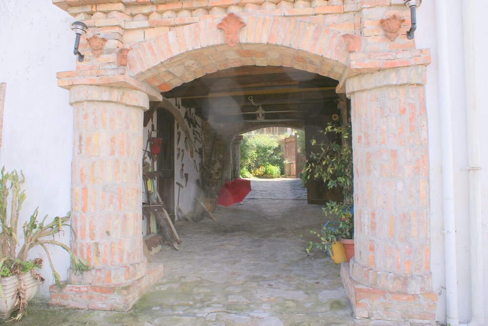 Photo 25