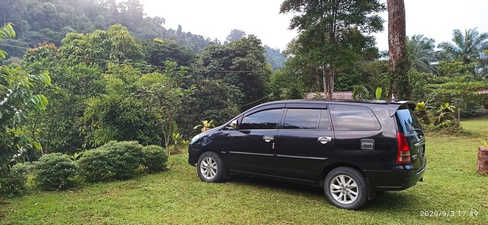 Green Forest Tangkahan
