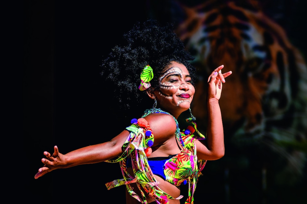 Los Cabos Vacations - Hotel Riu Santa Fe - All Inclusive - Property Image 24