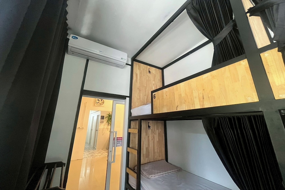 Lazy Lizard Hostel