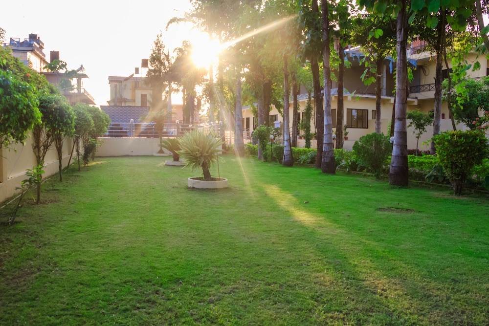 Hotel Rainforest