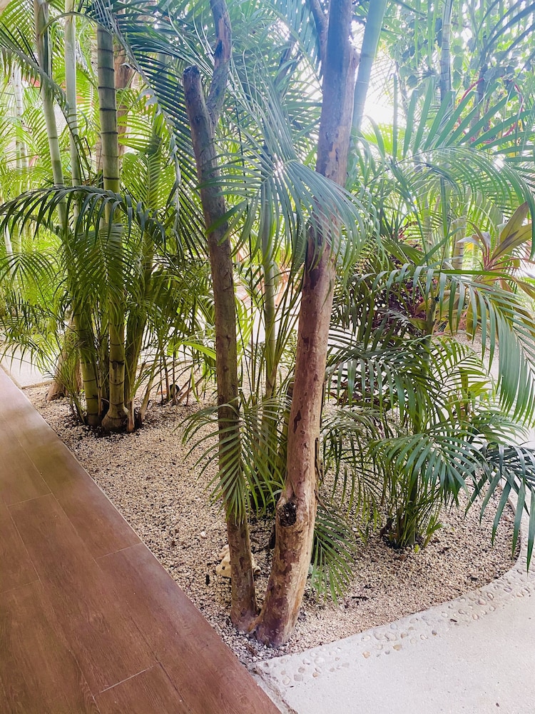 Pacha Tulum Boutique Hotel