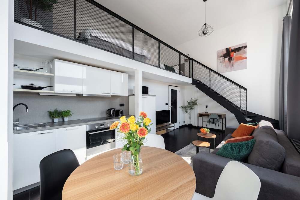 Spacious loft-apart in Prague