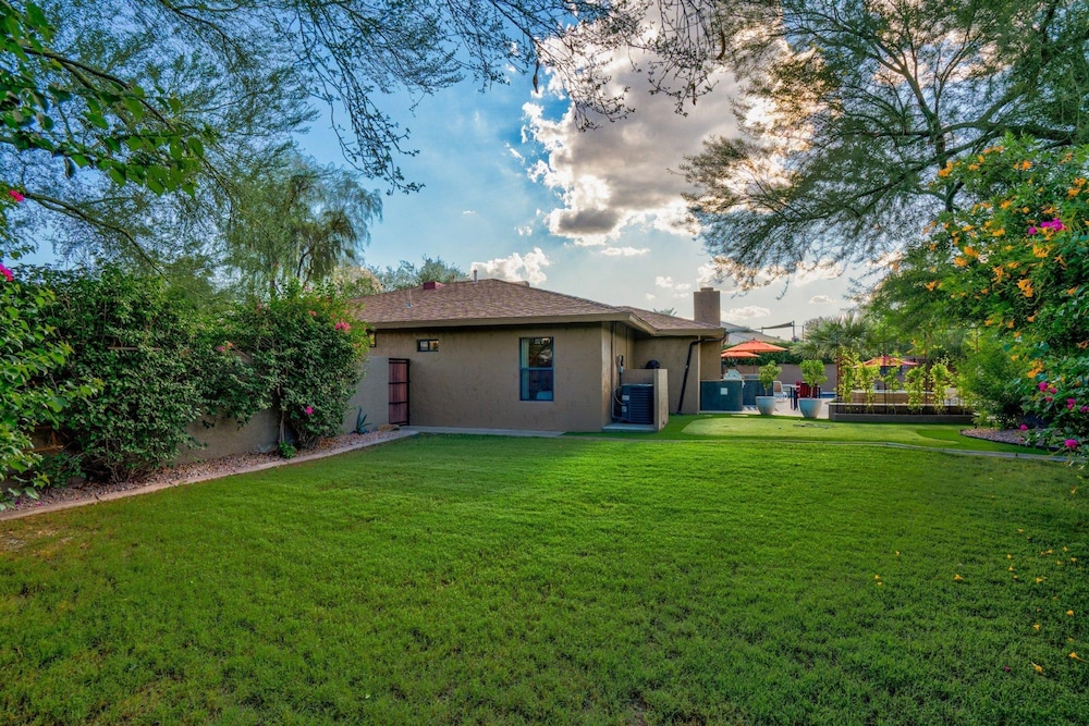 Chaparral in Paradise Valley