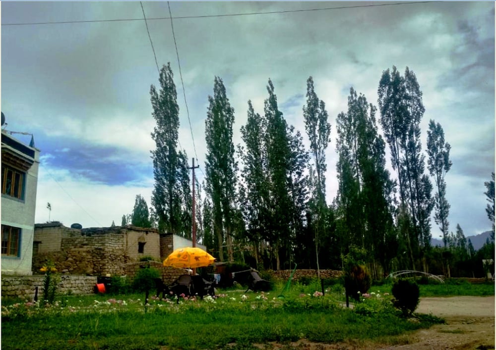 Photo 17