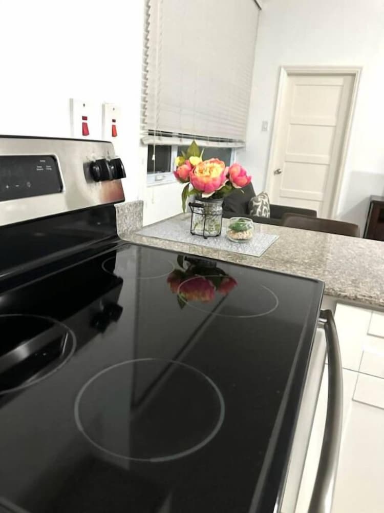 Modern 1BR Condo in Kingston