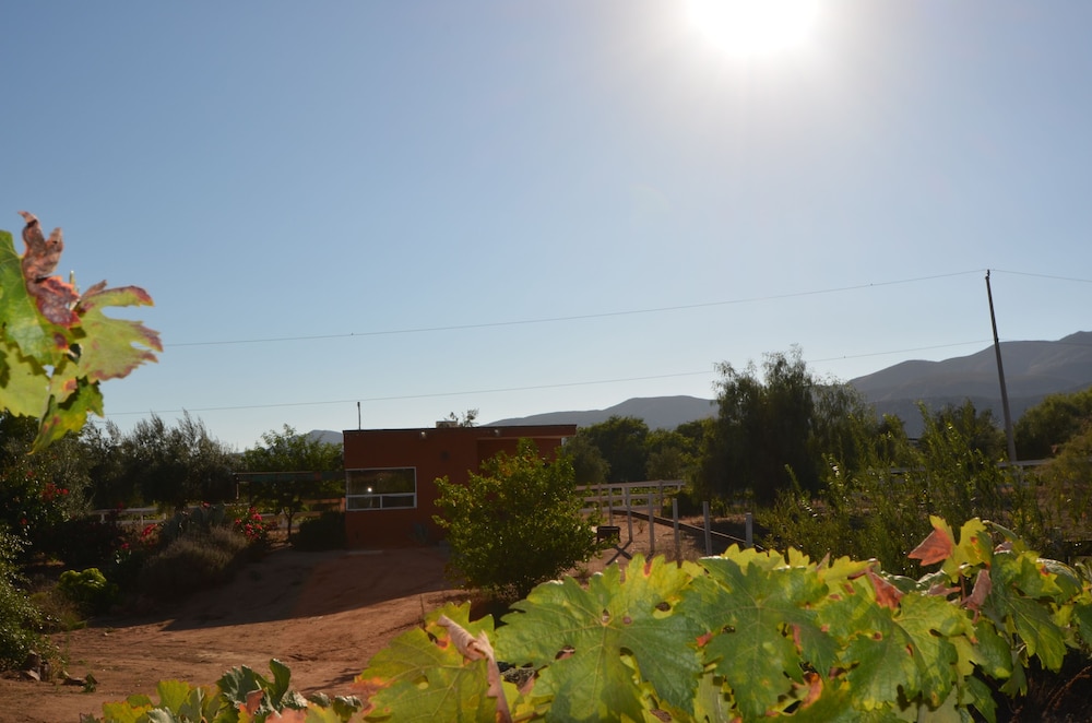 Photo 20