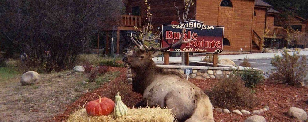 Estes Park Condos - Property Image 240