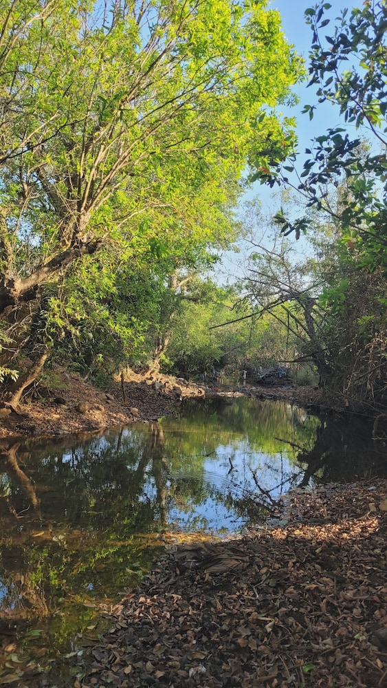 Madhuvan Retreat Resort Amba