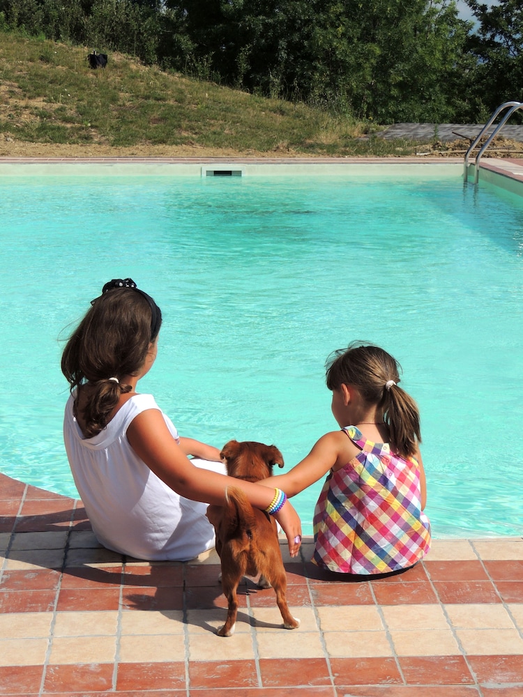 Agriturismo Fratelli Angelucci, Billede 15