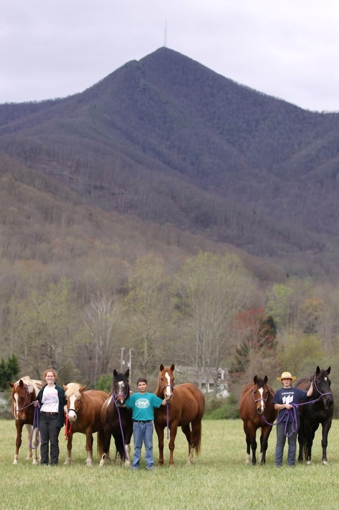 Pisgah View Ranch
