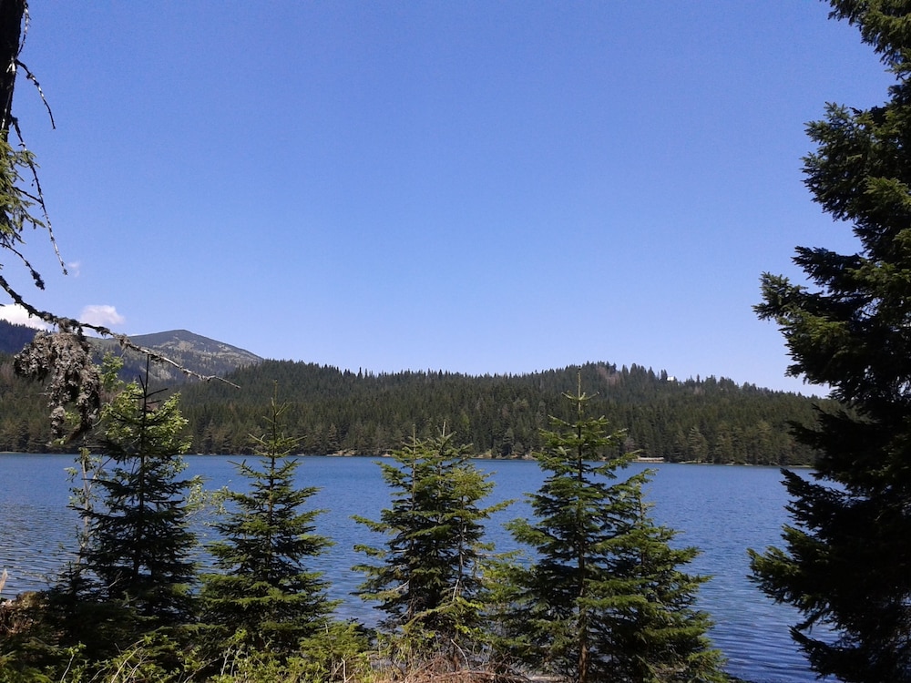 Photo 53